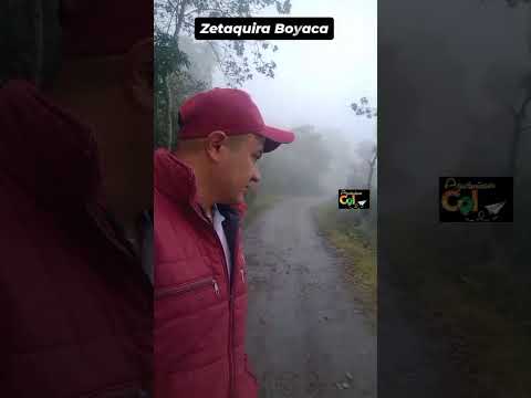 Asi amanecimos hoy en Zetaquira 🥶 Boyaca 😍 .#zetaquira #granja #campo #agroturismocol #turismo