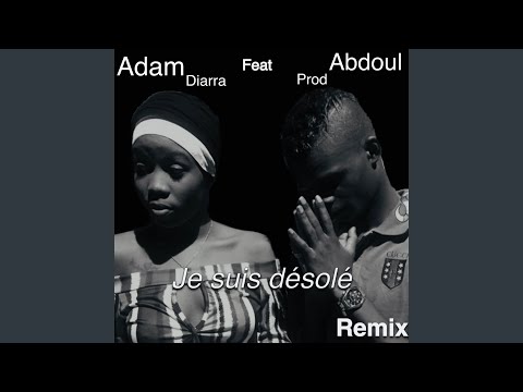 Je suis desole (Remix)