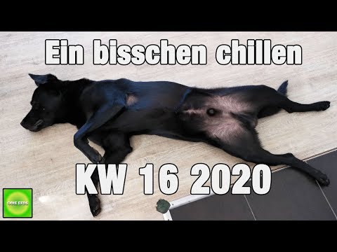Vlog / KW 16 2020 / Ein bisschen chillen