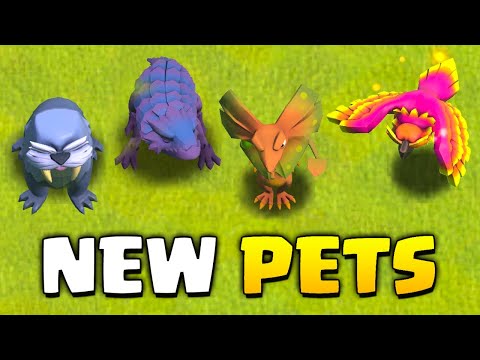 New Pets Explained - TH15 Update in Clash of Clans! - YouTube