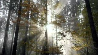 Jaguares - Viaje Astral