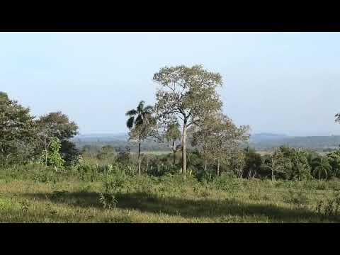 Paraguay - Landschaft / Itapua / Trinidad / Hohenau - Winter 2025