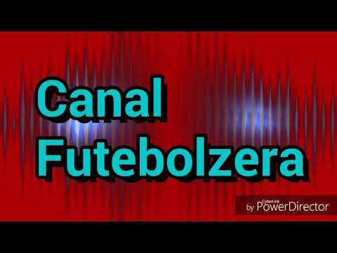 Santos 3 X 1 Paraná /Gols e Lances Completos (Campeonato Brasileiro 24°Rodada)