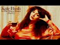Kate Bush - Extended Cuts - 40 - In The Warm Room (Feel It)