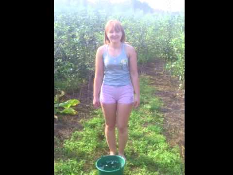 Андрійчук Алла в Ice Bucket Challenge