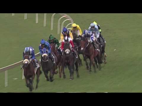 TEAM DE KOCK MAKE HISTORY AT TURFFONTEIN 3000 WINNERS