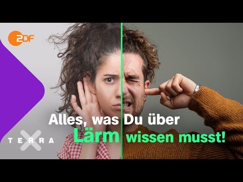 Wie Lärm dich kaputtmacht | Terra X plus