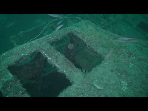 Scapa Flow Diving Holidays - Trailer