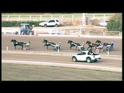 Trotto 20/09/2020 - 4ª corsa