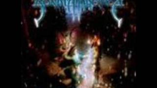 Sonata Arctica - The Cage + Lyrics