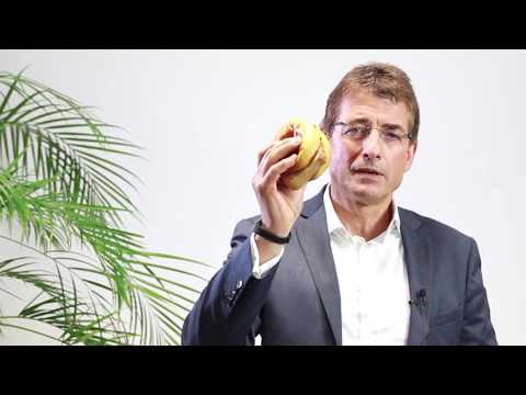 Zucker und Fett - das heimtückische Duo