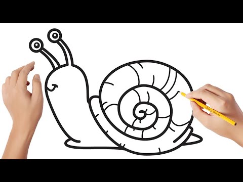 Comment dessiner un escargot
