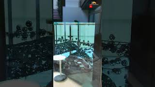 Central Park On Icon Of The Seas