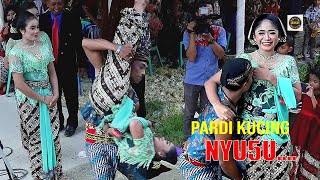 Download lagu Pardi Kucing Nyu5u,,, Tayub Suko Laras//Diefa Audio mp3