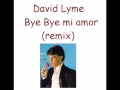 David Lyme-bye bye mi amor (remix) 