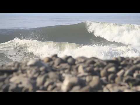 Thiago Trevisan - FreeSurf