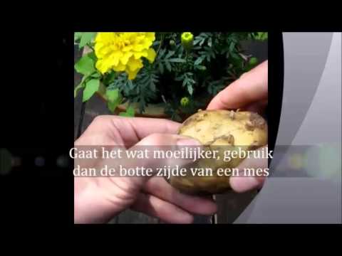 , title : 'Nieuwe Aardappelen vers van het land, hoe te bereiden - TIP!'