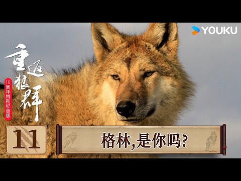 2.8 مليار مشاهدة.. قصة "الأم وابنها الذئب" تعود للواجهة وتتصدر الترند 