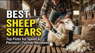 TOP 5 Best Sheep Shears 2026 | Sheep Shears That Make Shearing Faster & Easier