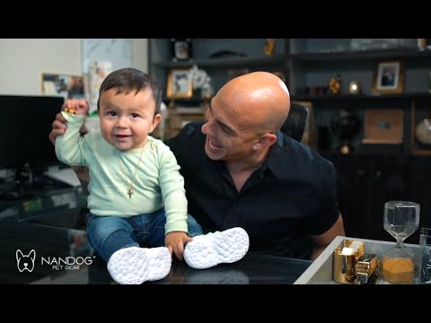 Welcome To Nandog Pet Gear