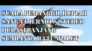Download lagu SUARA WALET PEMANGGIL RUPIAH SANGAT JERNIH DAN STREO DURASI PANJANG JAMIN UNTUNG COCOK SEINDONESIA mp3 Download lagu SUARA WALET PEMANGGIL RUPIAH SANGAT JERNIH DAN STREO DURASI PANJANG JAMIN UNTUNG COCOK SEINDONESIA mp3