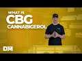 What Is CBG How Is It Made And The Potential Benefits DistroMike