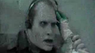 The Stooges- Scene Of The Crime