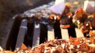 "Sparks" - Jack Northover