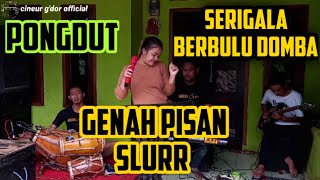 Download lagu SERIGALA BERBULU DOMBA || PONGDUT || CINEUR GDOR || EDISI LATIHAN mp3