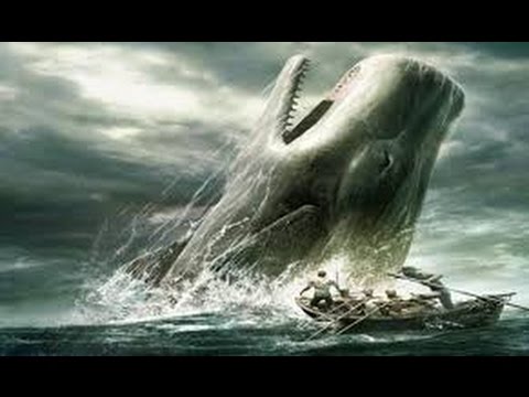 Moby-Dick : Audiobook (Part 3)