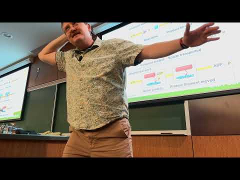 BIOL 105 Lecture 16 10/2/26