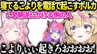こより早朝逆凸に寝坊して逆にポルカに起こされてしまう【博衣こより/ホロライブ切り抜き】