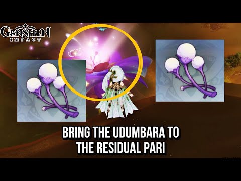 Bring the Udumbara to the residual Pari  -  3 Udumbara Pistil Location | Genshin Impact 3.6