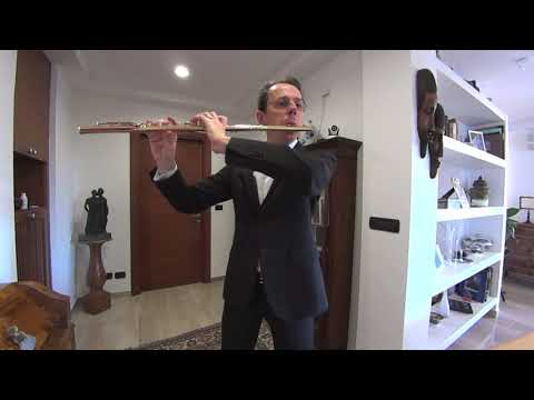 Giampaolo Pretto: The Quarantine Microconcerts - 11 - G. P. Telemann: Fantasia nr. 10 in F# minor HD