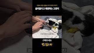 유튜브 썸네일