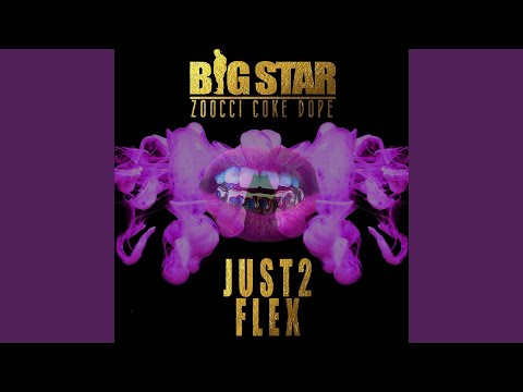Just 2 Flex (feat. Zoocci Coke Dope)