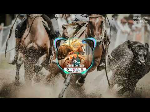 A VAQUEJADA É AMANHÃ - MIMIN DO GADO AO VIVO