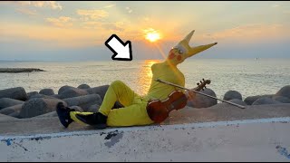 PV撮ってるみたいになるピカチュウ