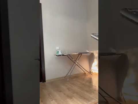 Lk-hotel - Пицунда, ул. Агрба, 3А видео