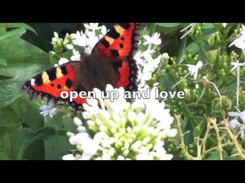 Give It Up - Eva Abraham