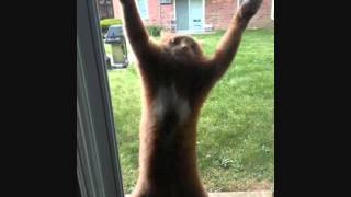 Devil Sold His Soul - Like It&#39;s Your Last (HQ)