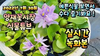 [2부]  꺼져서 다시한 방송 2022년 7월 30일 토요일   예쁜식물들 보면서 수다즐겨봐요  [노래부름 …