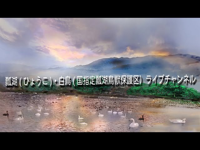 瓢湖(ひょうこ)・白鳥(国指定瓢湖鳥獣保護区）ライブチャンネル cctv 監視器 即時交通資訊