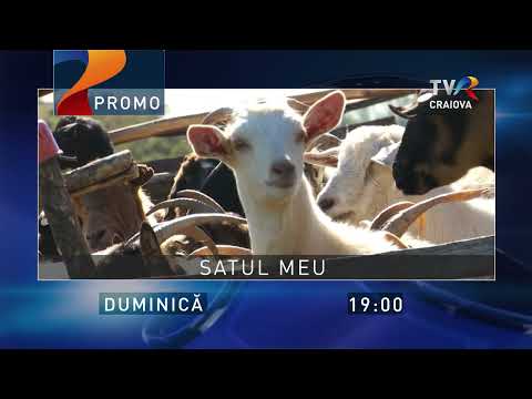 Satul meu - Cernătești