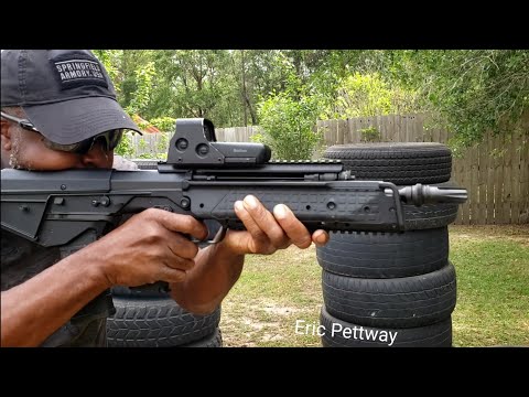 A budget friendly Pup