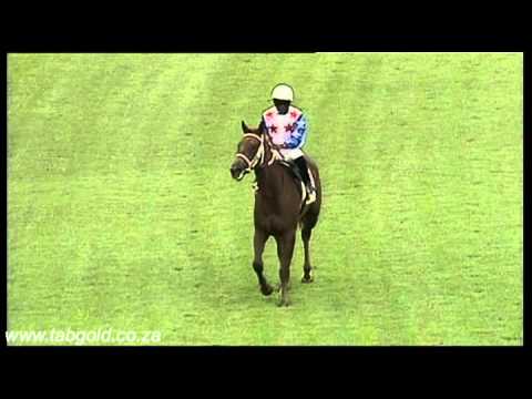 Scottsville 30122014 Race 1 won by IT MUST BE MY AURA