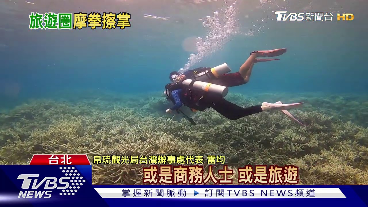 全球首「安全旅行圈」 台帛擬放寬旅行規定