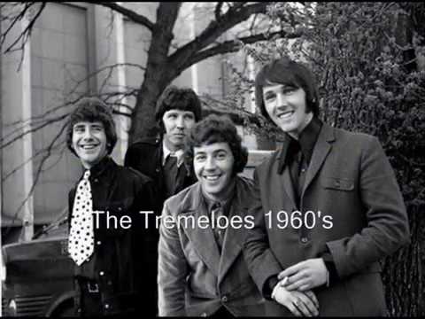 *** Someone Someone - Brian Poole - Lyrics