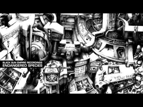 Black Sun Empire - The End Of Me