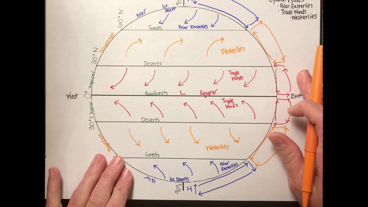 Global Winds - Trade Winds, Westerlies, Polar Easterlies